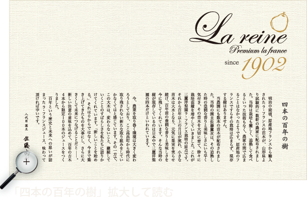 百年の樹〜ストーリー