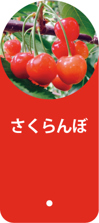 さくらんぼ