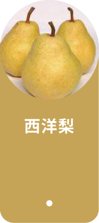 西洋梨