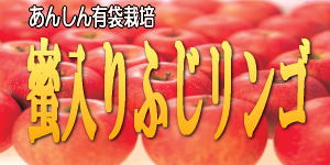 蜜入り ふじりんご/5kg(20〜23玉程度)