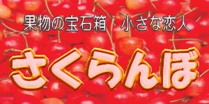 山形県産さくらんぼ/1kg・バラ詰め・秀品2Lサイズ