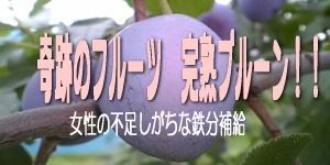 完熟プルーン/1kg(500g×2パック)